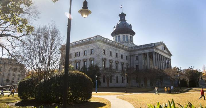 Know this about special statehouse primary in Summerville
