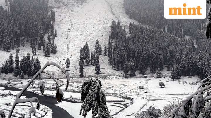 Snowfall in Jammu & Kashmir blankets Gulmarg and other places: In pics, videos