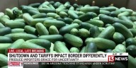Nogales importers watch for shutdown and tariff impacts