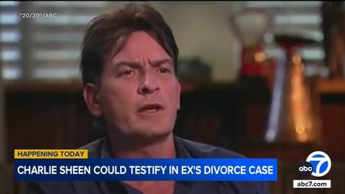 Charlie Sheen could be called to testify in ex-wife Denise Richards' divorce case in downtown LA courtroom