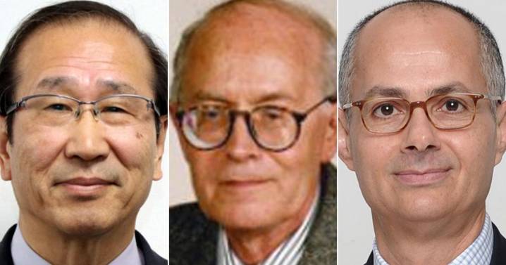 Nobel Prize in chemistry goes to scientist trio for Harry Potter-like work in molecular architecture