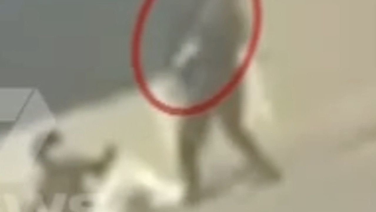 Video of another shopping centre machete attack in Melbourne