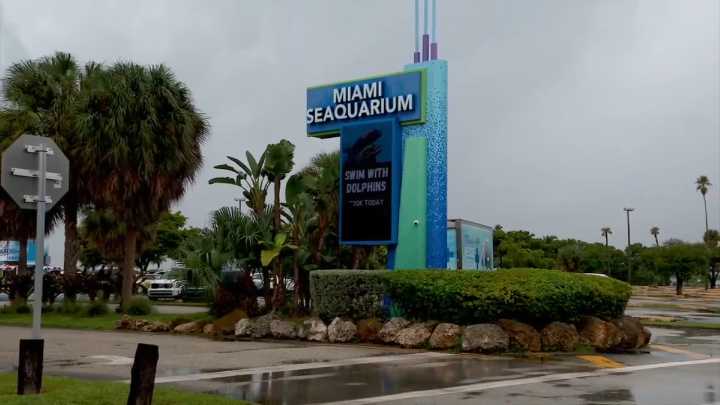 Parkgoers express mixed feelings over expected closure of Miami Seaquarium