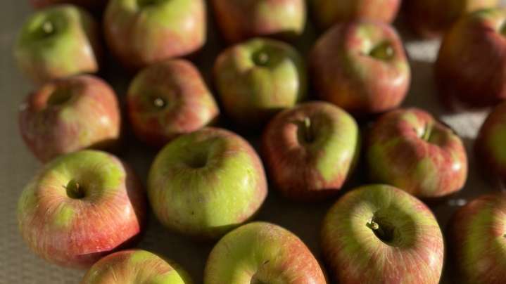 Summer is over: Here are some ideas to enjoy fall weather in Borderland