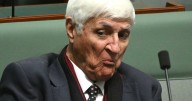 MP's unlikely answer for bored footy players and pests