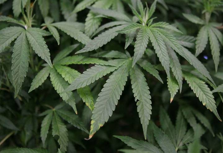 DeWine to make announcement on intoxicating hemp