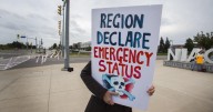 Niagara Region councillors press for more resources to tackle homelessness