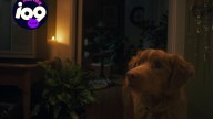 The Director of 'Good Boy' Talks Taking on the 'Does the Dog Die?' Trope
