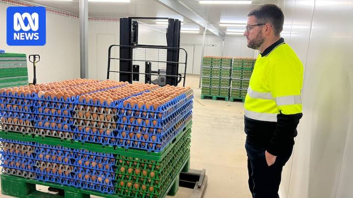 Millions being spent as Australia prepares for deadly H5 strain of bird flu
