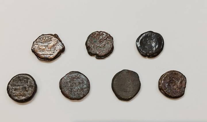 La investigación de siete monedas del Museo de Elda permite localizar una base militar de la guerra entre Julio César y Pompeyo