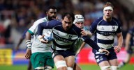 Bristol Bears show commitment to building university link as international stars join coaching team