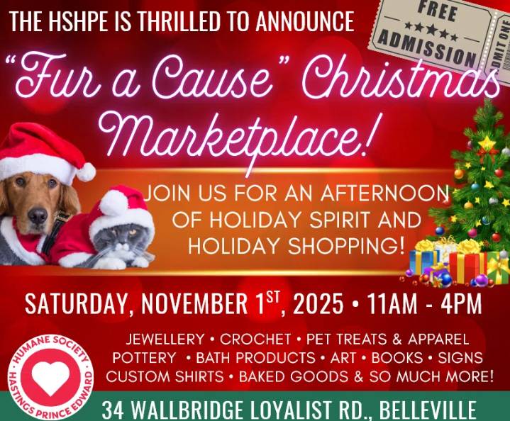 Christmas shopping to benefit Humane Society