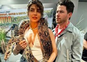 Priyanka Chopra poses with a snake around her neck; Nick Jonas says ‘loving the new jewellery’
