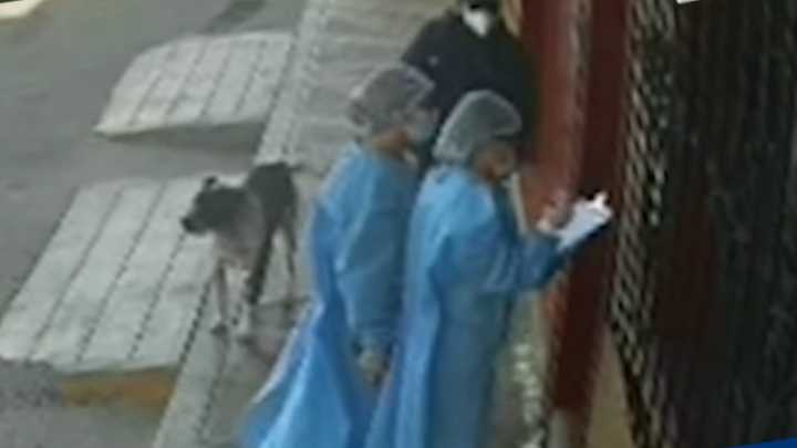 Tacna: Ladronas fingen ser enfermeras para robar dentro de vivienda (VIDEO)