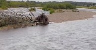 Man airlifted in Storm Amy rescue after becoming stranded near Scots river