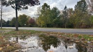 Michigan weather forecast for Halloween. See the radar