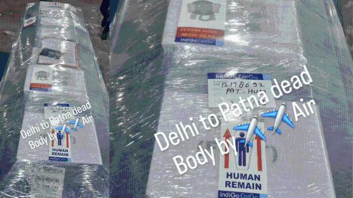 IndiGo under fire for ‘extreme heavy’ elephant sticker on coffin shipment