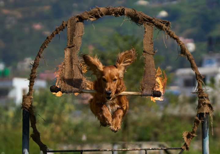 Our world in photos: October 20