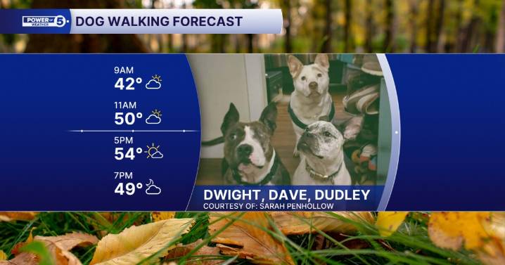 Brighter and warmer for the pups today - your October 26th dog walking forecast