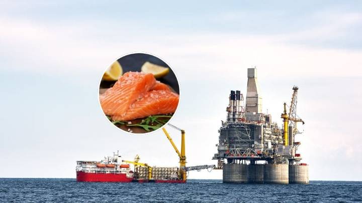 Sernapesca logra acuerdo con Rusia y asegura exportaciones de salmón y mariscos chilenos