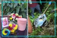 Estallan ciudadanos contra empresa de incineración de mascotas en Chetumal por presunto fraude