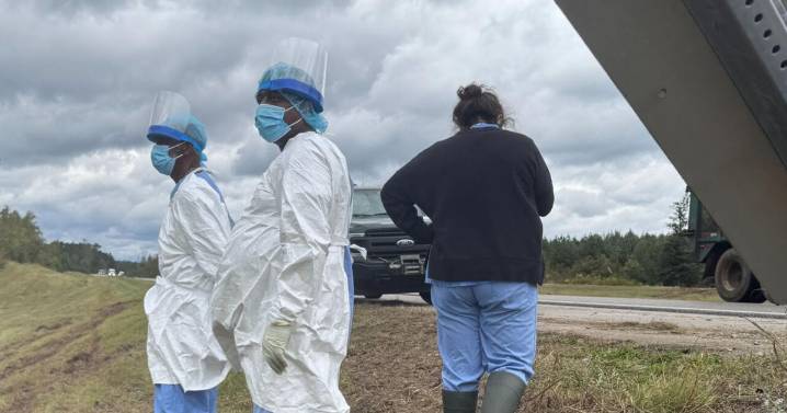 3 monkeys still on the loose after truck overturns on Mississippi highway