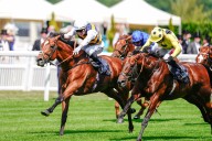 Rosallion to turn tide with Docklands in Ascot's QEII