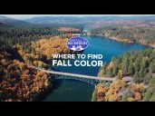 Hidden Fall Colors in NorCal: Discover Burney’s Brilliant Autumn Secret