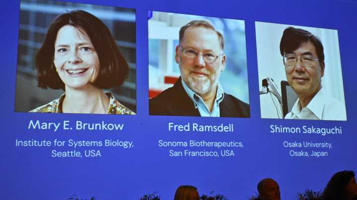 The Nobel Prize in medicine goes to 3 scientists for work on the human immune system