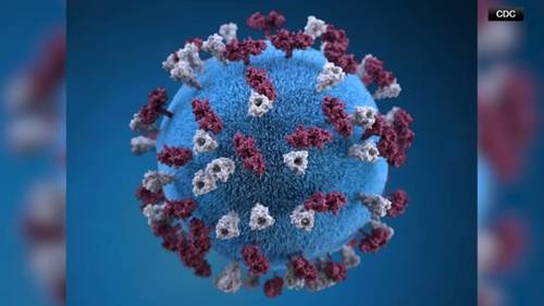 153 unvaccinated students in SC quarantining after measles exposure
