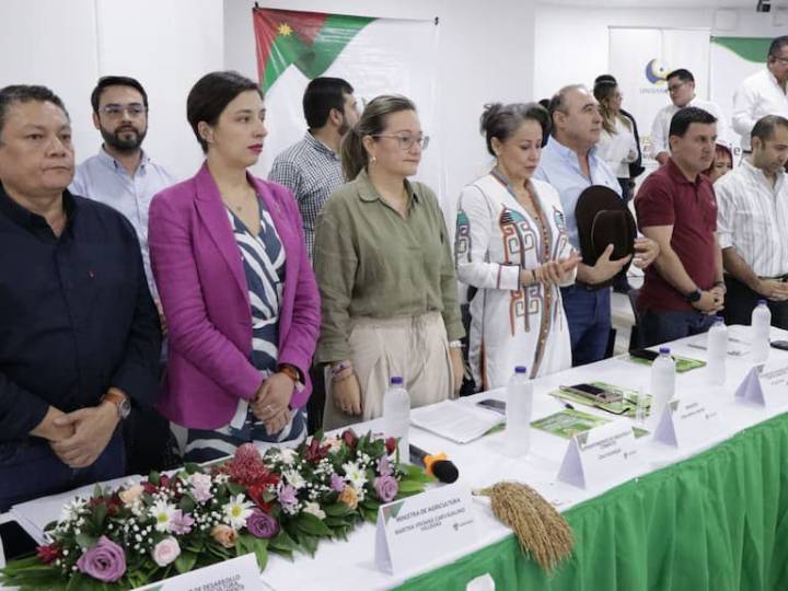 Gobierno nacional y gremio arrocero logran acuerdos