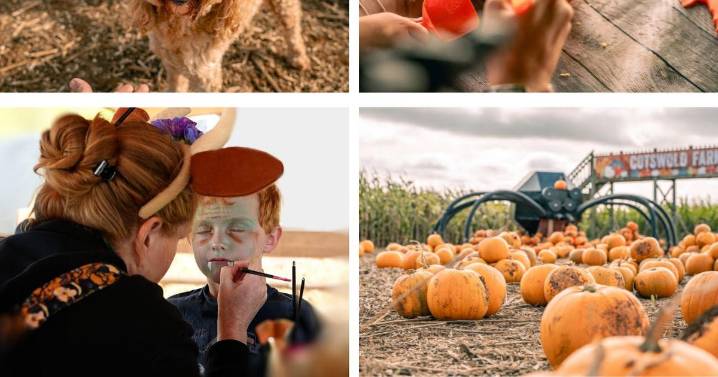 Families get set for spooky fun as Adam Henson's Cotswold Farm Park pumpkin patch returns