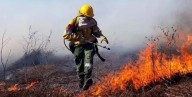 Incendios afectan la biodiversidad en el Norte provincial y el "eco" turismo