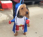 Winston is the heart of his family: Send us your pet stories