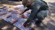 Le hacía frío al faso | Viajaba de Salta a Mendoza con 31 kilos de marihuana envueltos en una frazada