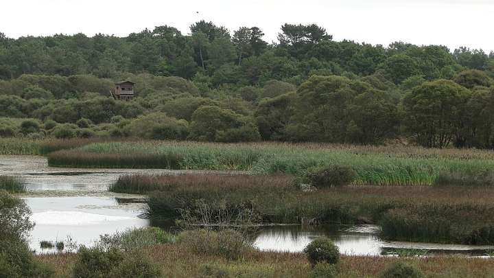 El castigo de Valverde: así nació una de las lagunas más misteriosas de Galicia