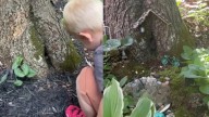 Una madre descubre la amistad de su hijo con un animal que vivía dentro de un árbol y juntos crean el hogar perfecto para su amigo