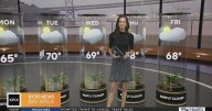 First Alert Weather Saturday morning forecast 10