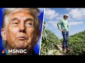 'Real emergency for American soybean farmers' as Trump negotiates with China: Economist