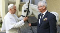 Regalan un caballo pura sangre árabe al papa León XIV