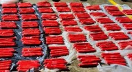 Ejército desmantela presunta bodega con explosivos destinados a Colombia en zona fronteriza