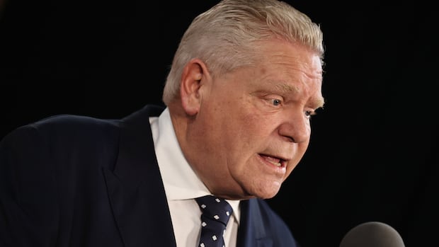 Premier Ford says he told Home Depot shoplifter, 'I'm going to kick your ass'