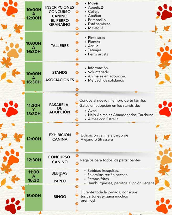 Concursos, exhibiciones, talleres y pasarela el domingo 26 en la V Feria de Adopción de mascotas