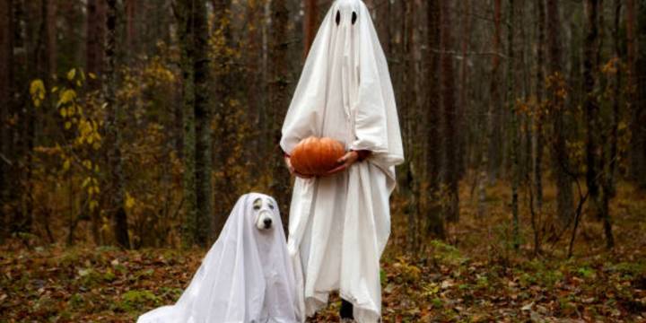 Halloween 2025: las mejores frases terroríficas para compartir en tus redes sociales