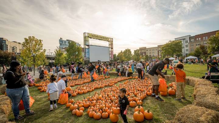List: What to do in the DC area this week and weekend, through Oct. 26