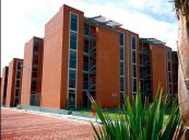Hallan sin vida a una mujer y sus dos hijos presuntamente envenenados en su vivienda de Santo Tomás Chautla