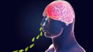 Fresh case of amoebic meningoencephalitis reported in Trivandrum, woman hospitalised