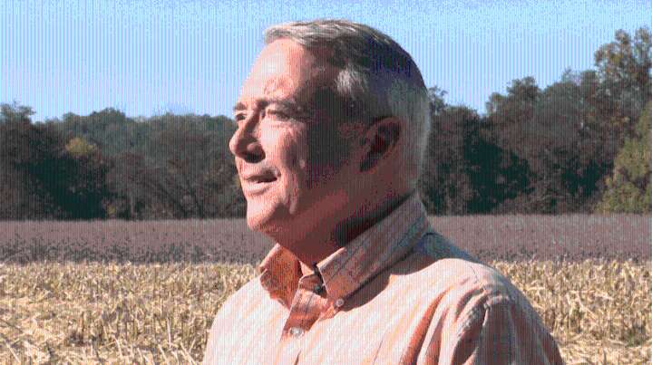 Tennessee farmers grapple with rising costs, falling prices amid tough harvest season