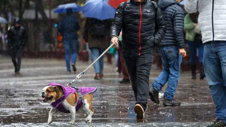 "Estar preparados": Alerta temprana preventiva para La Araucanía por lluvias y vientos