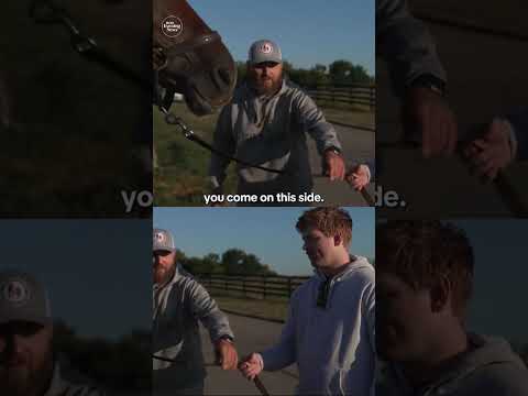 Thoroughbred horses give men battling addiction a second chance at life #shorts